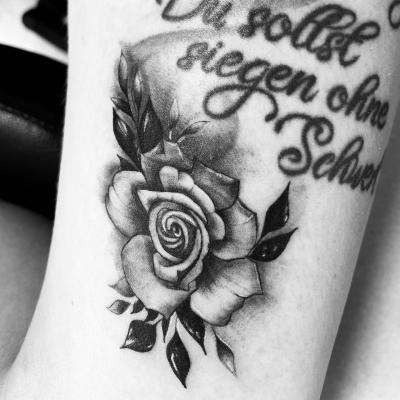 Piqment Ink 17