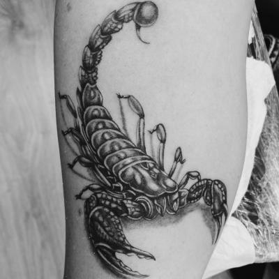 Piqment Ink 23