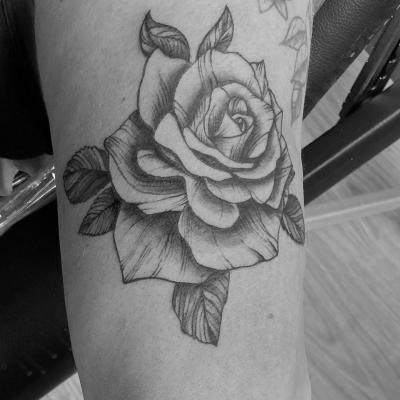 Piqment Ink 65
