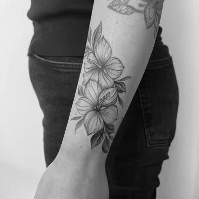 Piqment Ink 46